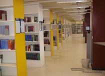 Конференция АРБИКОН 2010: Финляндия 