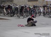 Конференция АРБИКОН 2011: Дания